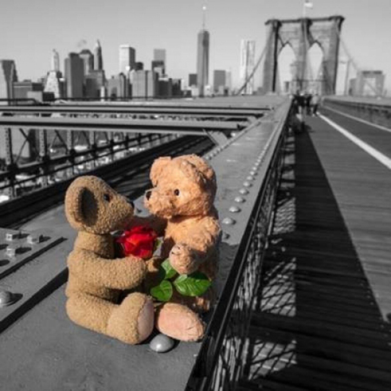 Pair of teddy bears with a red rose on Brooklyn Bridge, New York Poster Print by Assaf Frank - Item # VARPDXAF20131116481C02